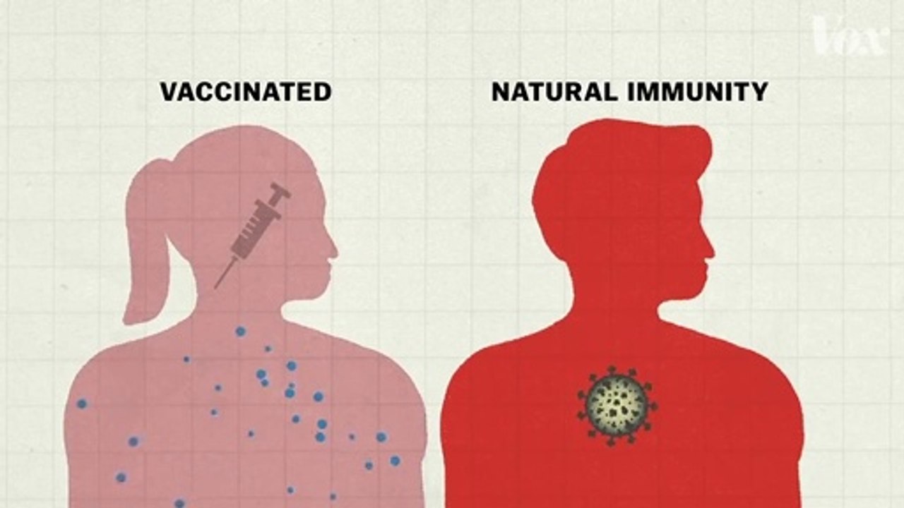 Why so many Covid-19 variants are showing up now