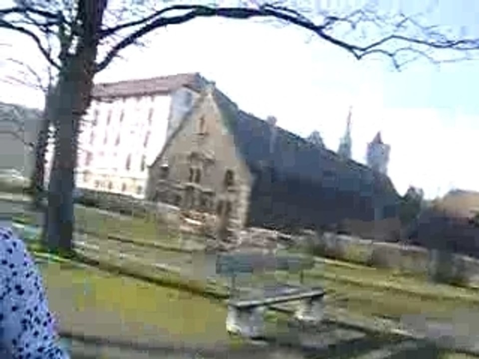 Notre vrai nature (8)