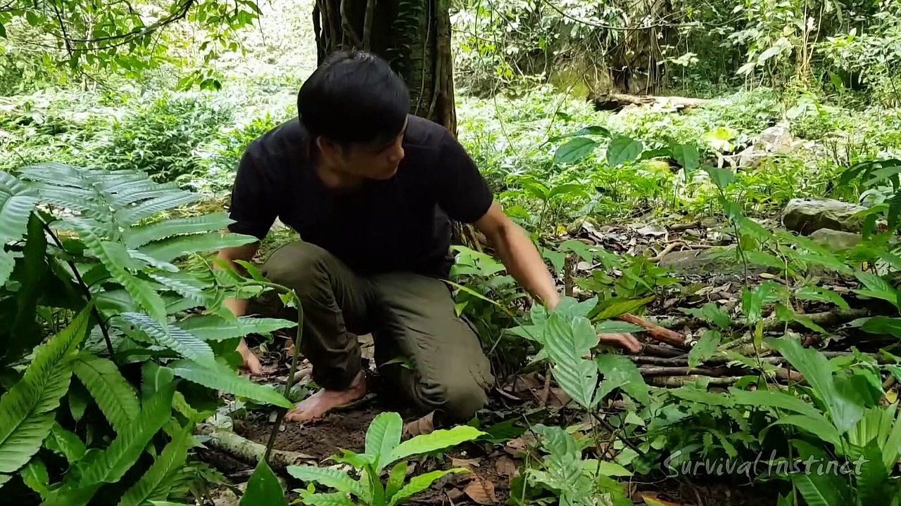 Build most secret Beautiful Huts, Survival in the tropical Rainforest, ep 22