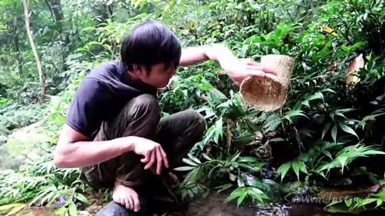 Food in the Streams, Survival in the tropical Rainforest, ep 27