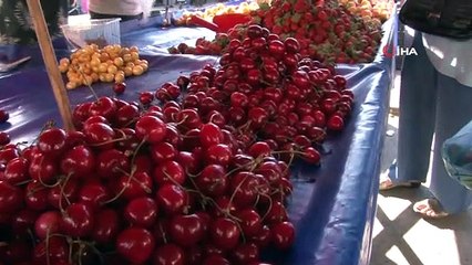 Armut fiyatları cep yakıyor