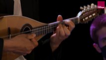 Raffaele Calace : 1er mvt du Concerto pour mandoline n°2 en la min op. 144 (Martineau/Garcia/Quatuor Elmire)