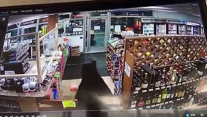 10 weird things caught on camera