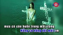 Như Cánh Vạc Bay - Lam Trường
