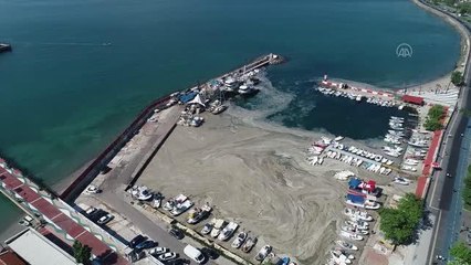 DRONE - Lodos nedeniyle kıyılara müsilaj geri geldi