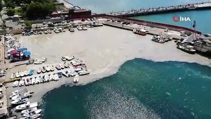 Bu görüntüler Tekirdağ'dan: Denizde salya çölü