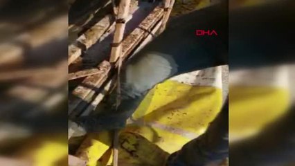 Son dakika haberleri: DEVRİLEN TIR'A ÇARPAN OTOMOBİLİN SÜRÜCÜSÜ ÖLDÜ, EŞİ VE KIZI YARALANDI