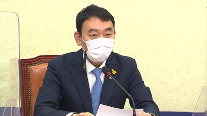 민주당 김용민 "열린민주당과 합당 논의 본격화돼야" / YTN