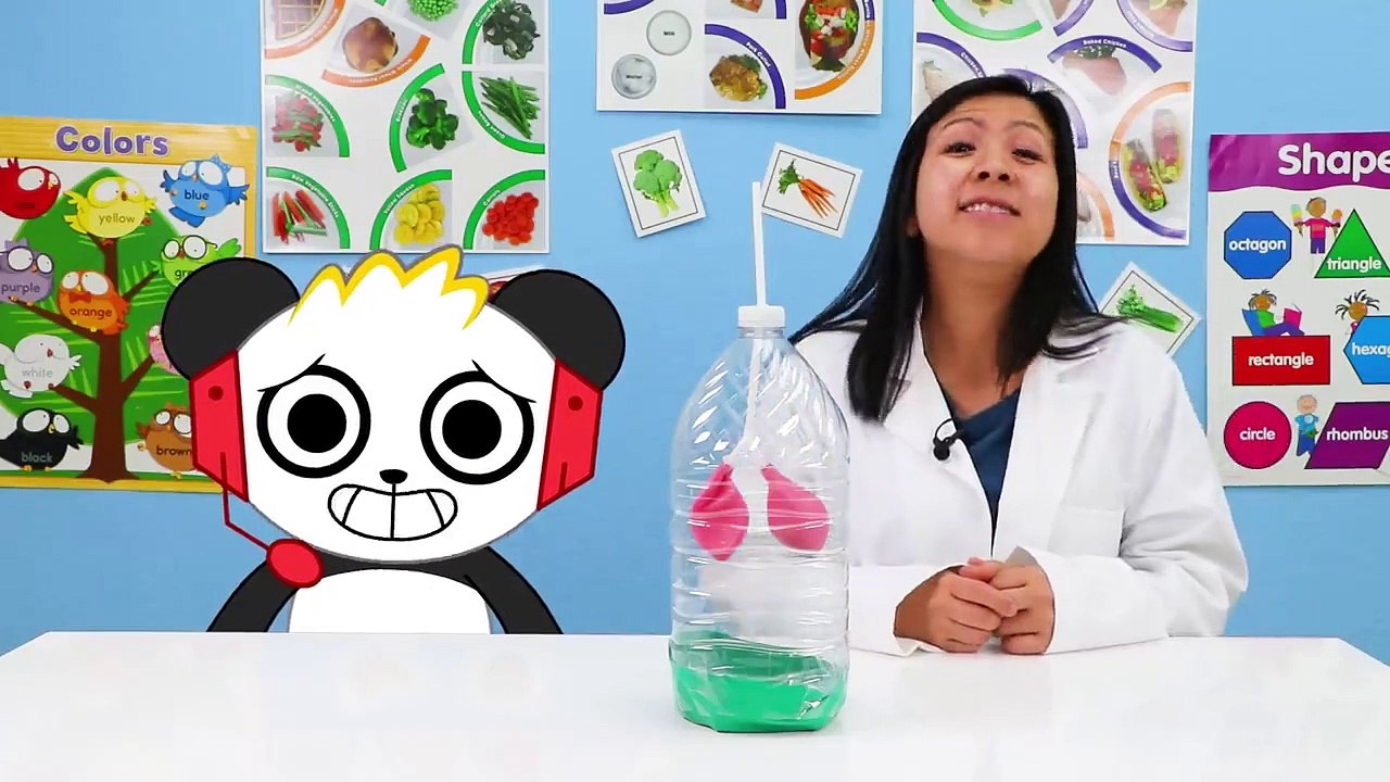 Learn About Parts Of Your Body For Kids | Educational Video Ryan'S World