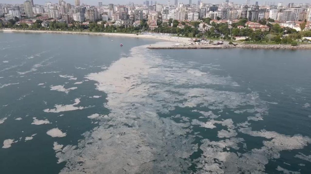 Eski İBB Başkanı Sözen: Müsilajla doğru mücadele edilmezse İstanbul yaşanamaz hale gelir