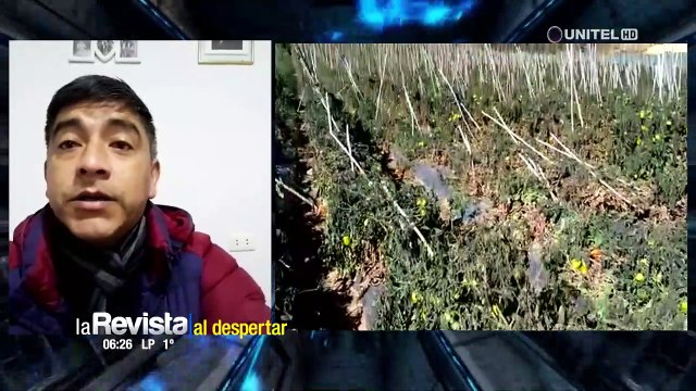 Las heladas hacen estragos en cultivos de los Valles cruceños