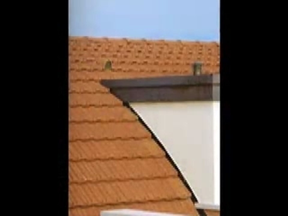 Coperture