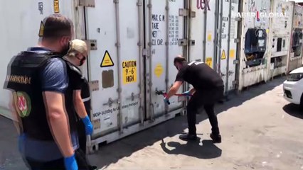 Mersin Limanı'nda 150 kilo kokain yakalandı