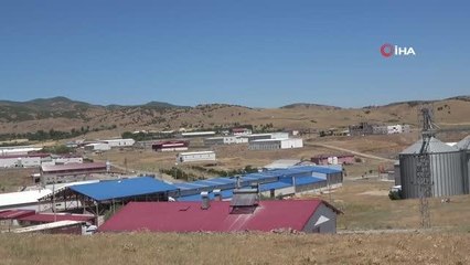 Bingöl'de bin kişinin istihdam edildiği OSB'de aşılama çalışması başladı