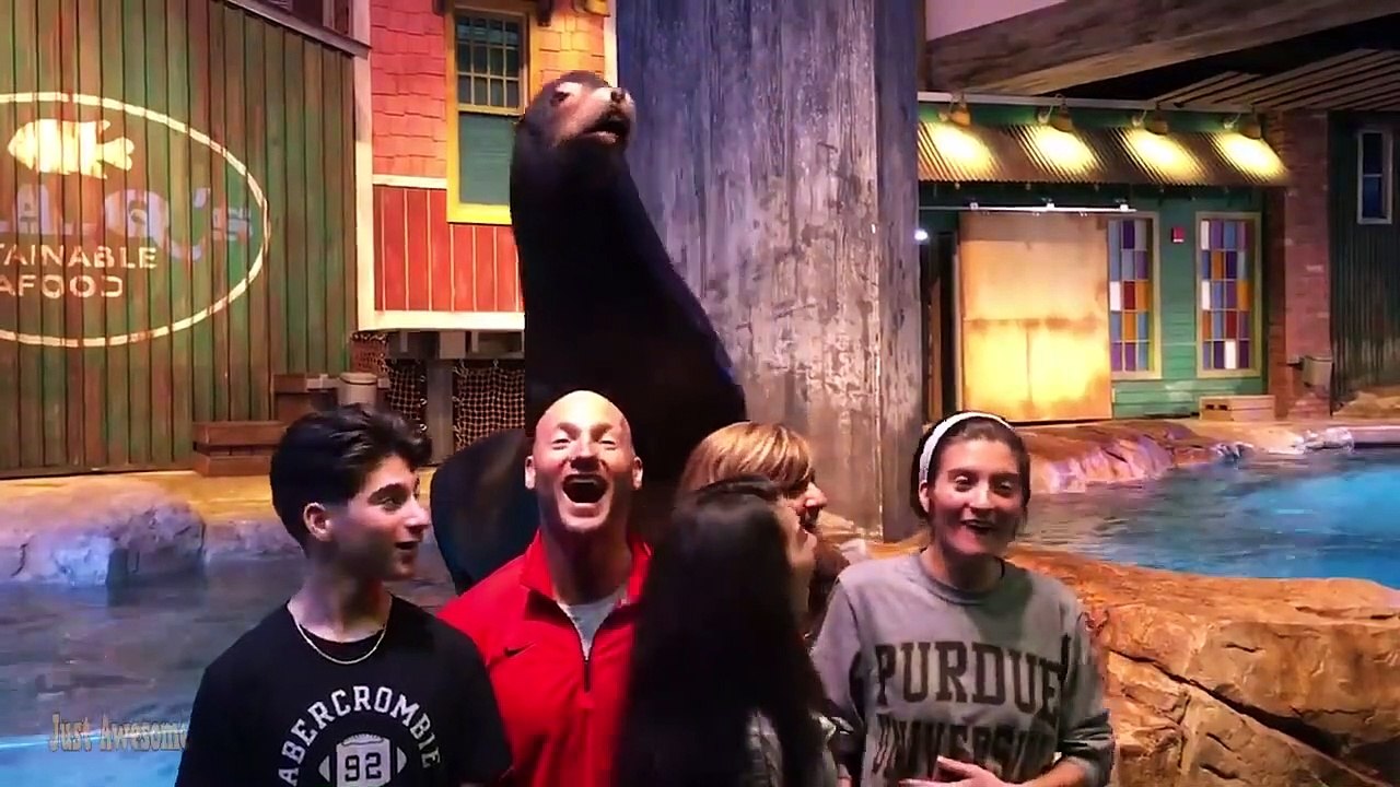 Funny Baby Videos - The 100 Funniest Moments Baby Meet Animals / Just Awesome