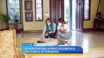 Denuncian mala práctica médica en clínica veterniaria