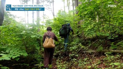 해발 1,000m! 산 넘고 물 건너 전설의 약초를 찾아라!
