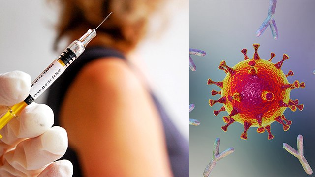 Corona Vaccine के बाद Body में कितनी Antibodies बनी हैं, कैसे पता करें | Boldsky