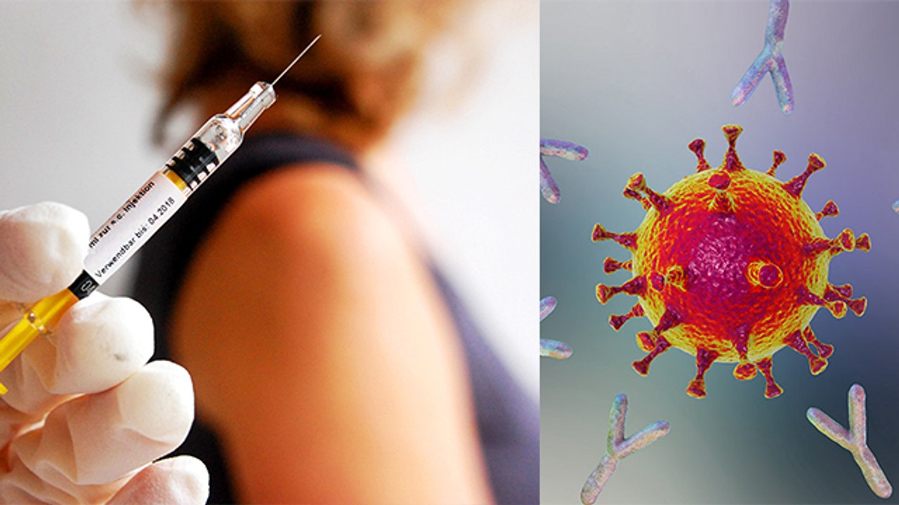 Corona Vaccine के बाद Body में कितनी Antibodies...