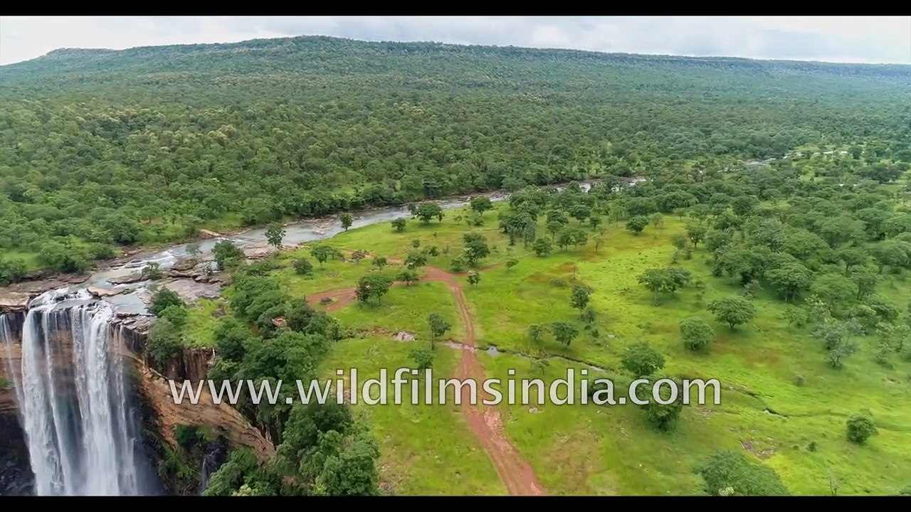 The forest of Panna overlooking 'Dhundua falls' and the Ken river flowing through | Aerial