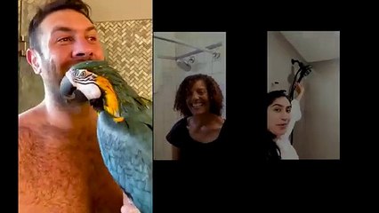 Experience Powerful Shower Modes & Save 50% Today 🚿