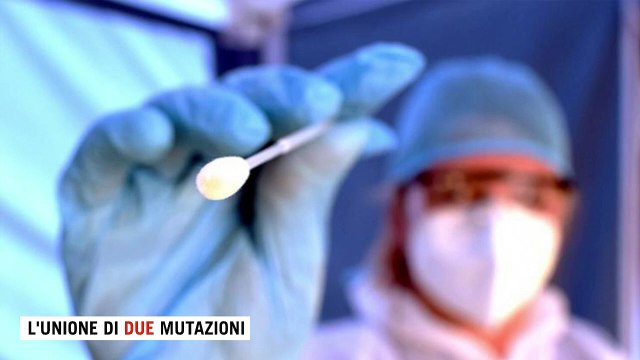 Covid, origine, contagiosità ed efficacia dei vaccini: cosa sappiamo della variante Delta
