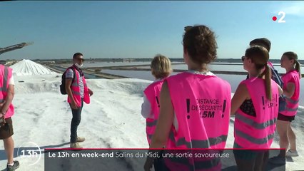 Salins du Midi : un marais où l'on voit la vie en rose