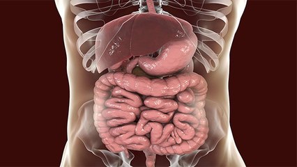 Monsoon में आंतों में 1 बार चिपक गया Virus तो निकलना होगा मुश्किल, तुरंत करें ये काम | Boldsky