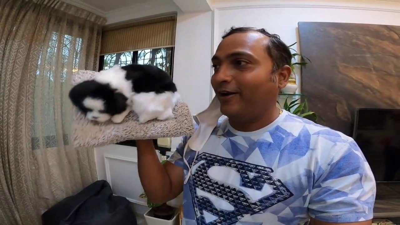 Arjun's birthday gift