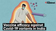 Vaccine efficacy against Covid-19 variants in India
