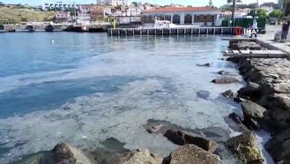 Bozcaada'da müsilaj görüldü