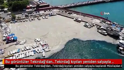 Bu görüntüler Tekirdağ'dan...Tekirdağ kıyıları yeniden salyayla kaplandı