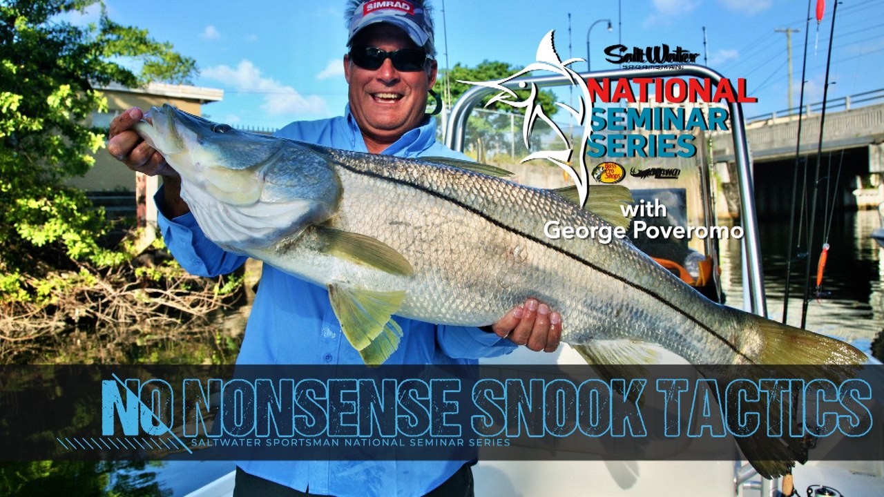 No Nonsense Snook Tactics