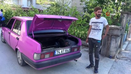 Köpeklerin saldırısına uğrayan yavru ayıyı vatandaşlar kurtardı