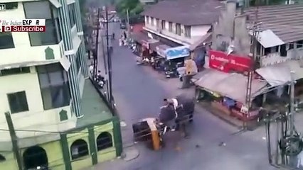 Hindistan'da kızgın fil dehşeti!