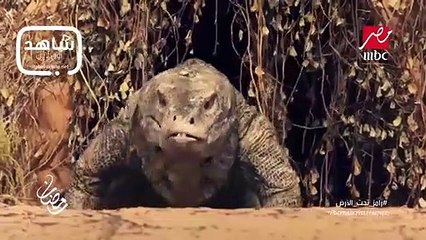 اعلان برنامج رامز تحت الارض