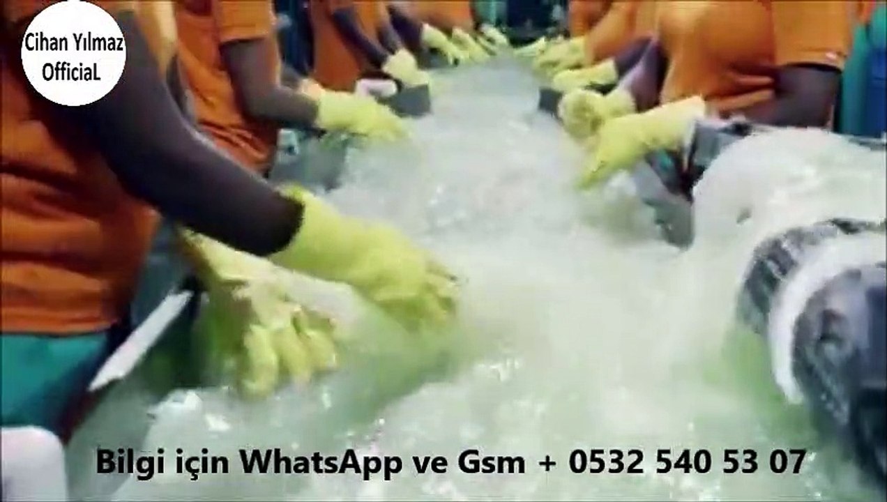 Forever Living Aloe Vera Üreticisi Ürünleri ile Tanıştınız Mı