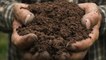 Oregon Legalizes Human Composting