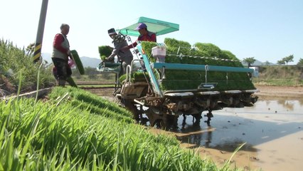 모내기부터 수확까지...고령화 농촌 일손 더는 농작업 대행! / YTN