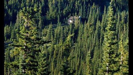 Land Trailer - Robin Wright, Demián Bichir