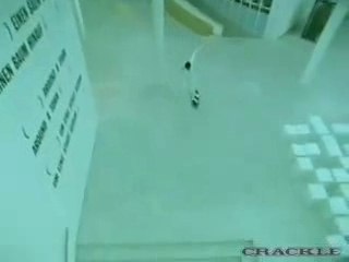 Coconut Records- West Coast