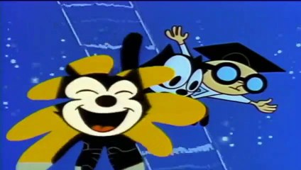 Abertura clássica Gato Félix