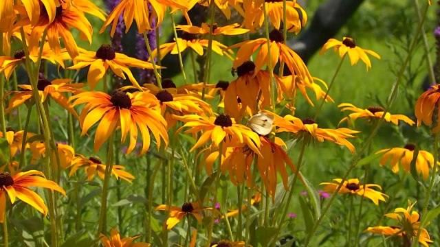 [날씨] 주말 맑고 30℃ 안팎 더위...강한 자외선 유의 / YTN