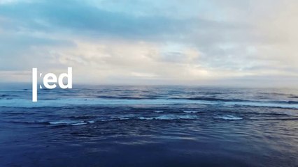 Peaceful Soothing Instrumental 30 minutes sleeping Music | Sensible Music