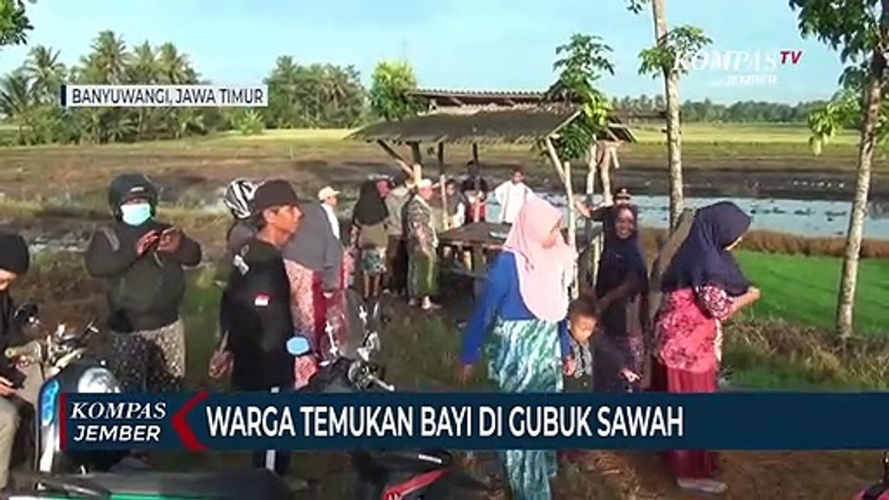 Warga Temukan Bayi di Gubuk Sawah, Dipastikan Dibuang Orangtuanya