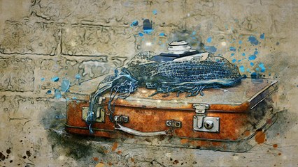 Ashes - Despojos Mortales. 