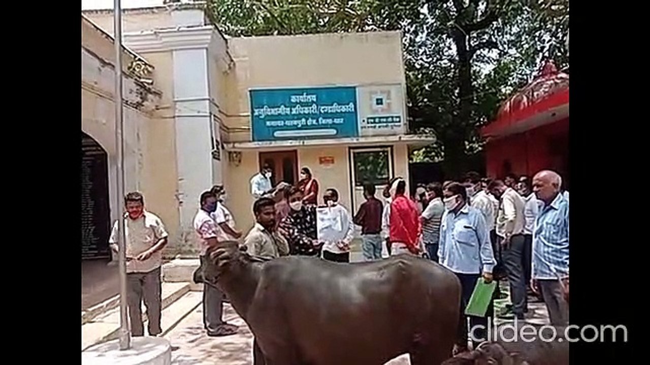 patrika