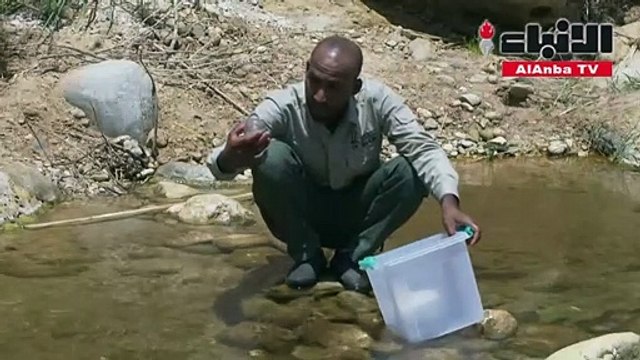الاردن يسابق الزمن لإنقاذ نوع نادر من الأسماك المهددة بالانقراض