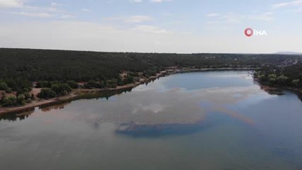 Haziran yağmurları Musaözü Göleti'ni canlandırdı