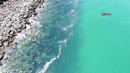 TRABZON KARADENİZ'DEKİ KİRLİLİKTE 'MÜSİLAJ' ENDİŞESİ